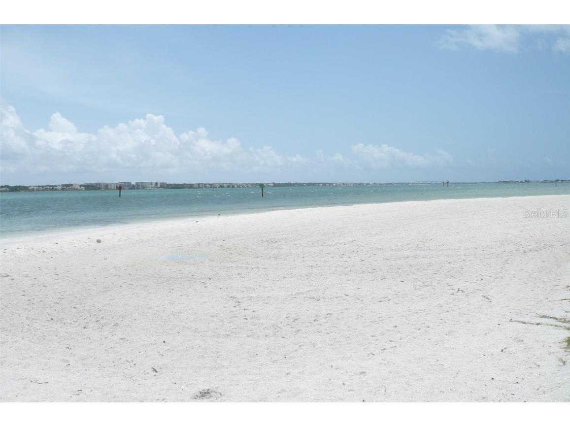 895 S Gulfview Boulevard #203 Clearwater Beach FL 33767 U7700896 image42