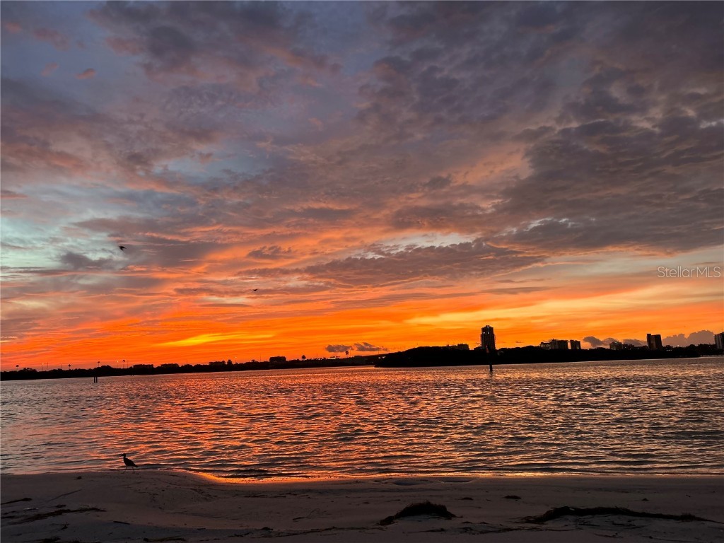 895 S Gulfview Boulevard #203 Clearwater Beach FL 33767 U7700896 image46