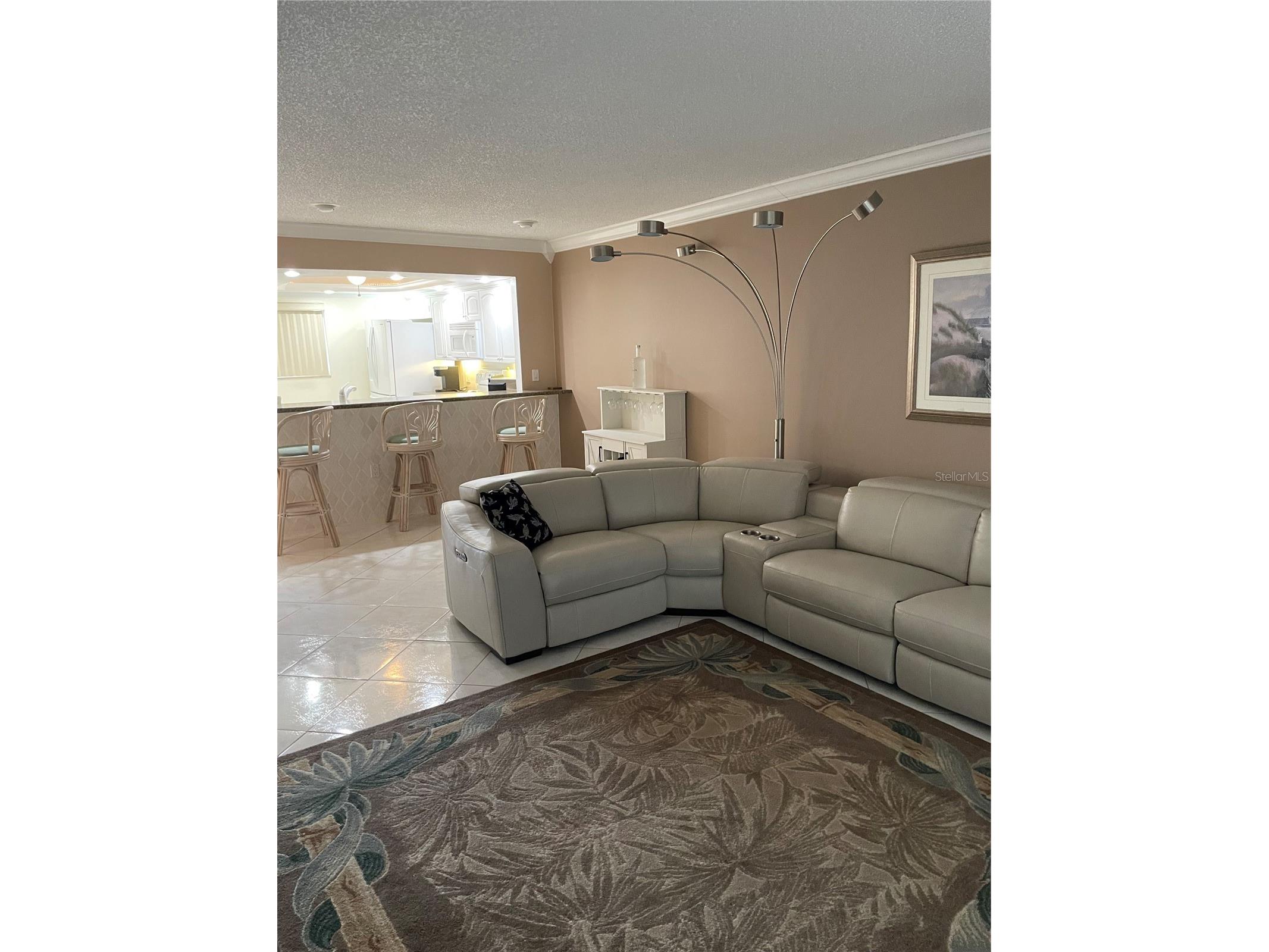 895 S Gulfview Boulevard #303 Clearwater Beach FL 33767 TB8490211 image11