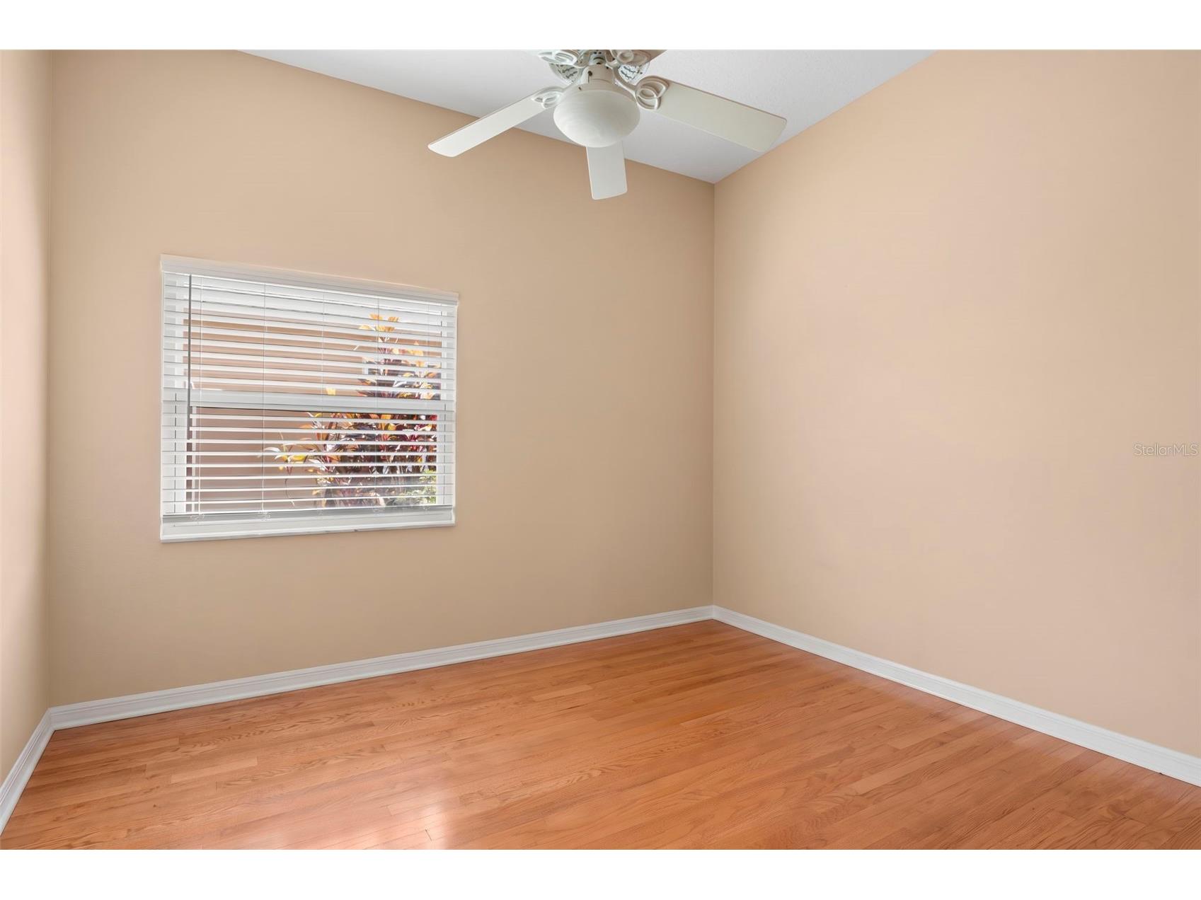 895 Whippoorwill Drive Palm Harbor FL 34683 TB8519078 image37