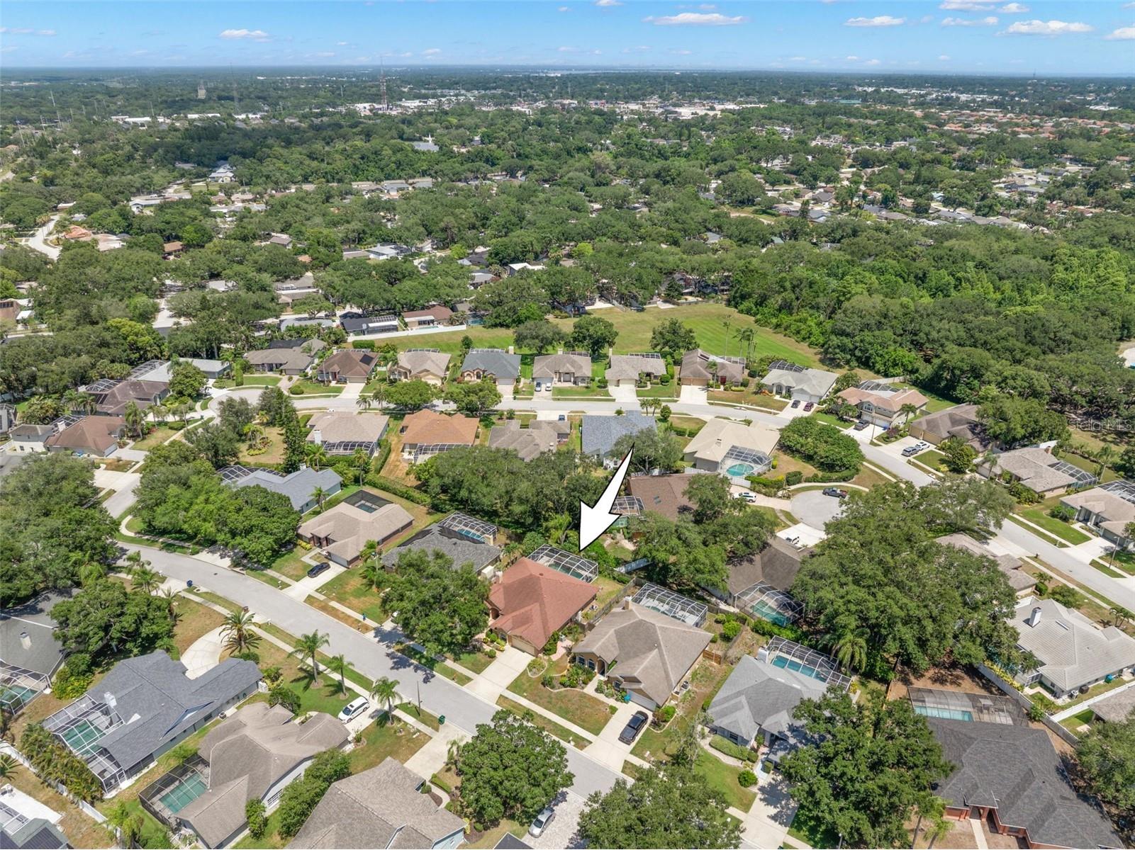 895 Whippoorwill Drive Palm Harbor FL 34683 TB8519078 image4