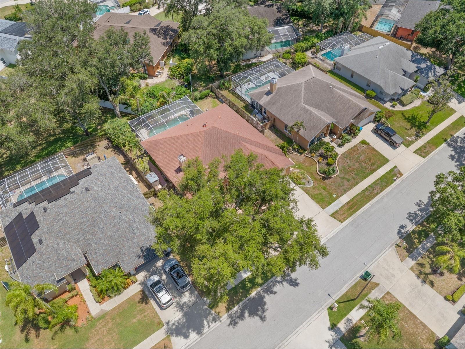 895 Whippoorwill Drive Palm Harbor FL 34683 TB8519078 image44