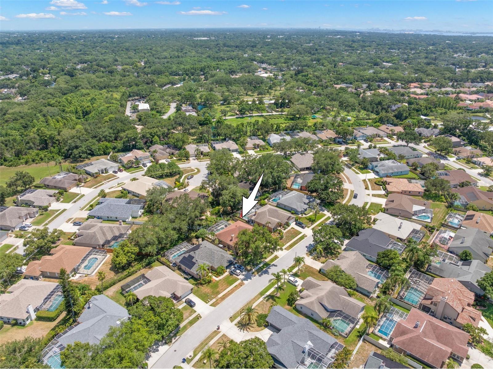 895 Whippoorwill Drive Palm Harbor FL 34683 TB8519078 image45