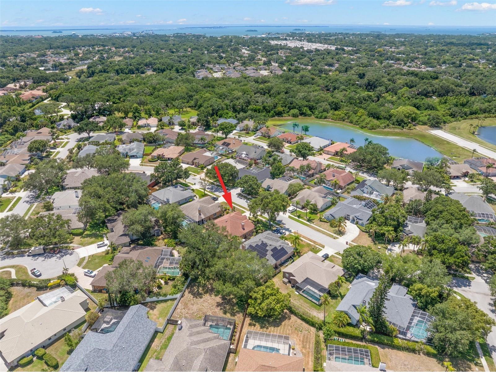 895 Whippoorwill Drive Palm Harbor FL 34683 TB8519078 image46