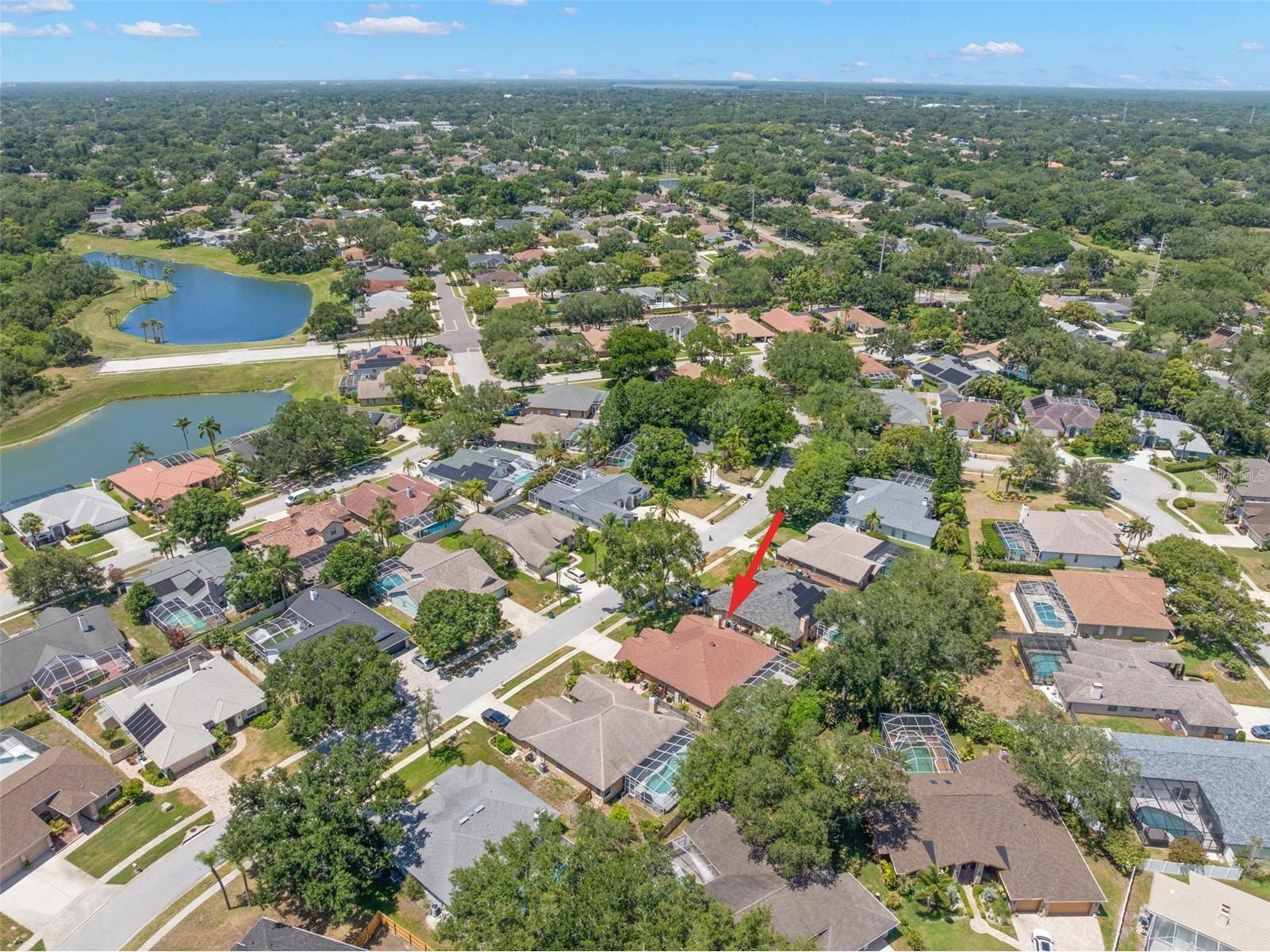 895 Whippoorwill Drive Palm Harbor FL 34683 TB8519078 image47