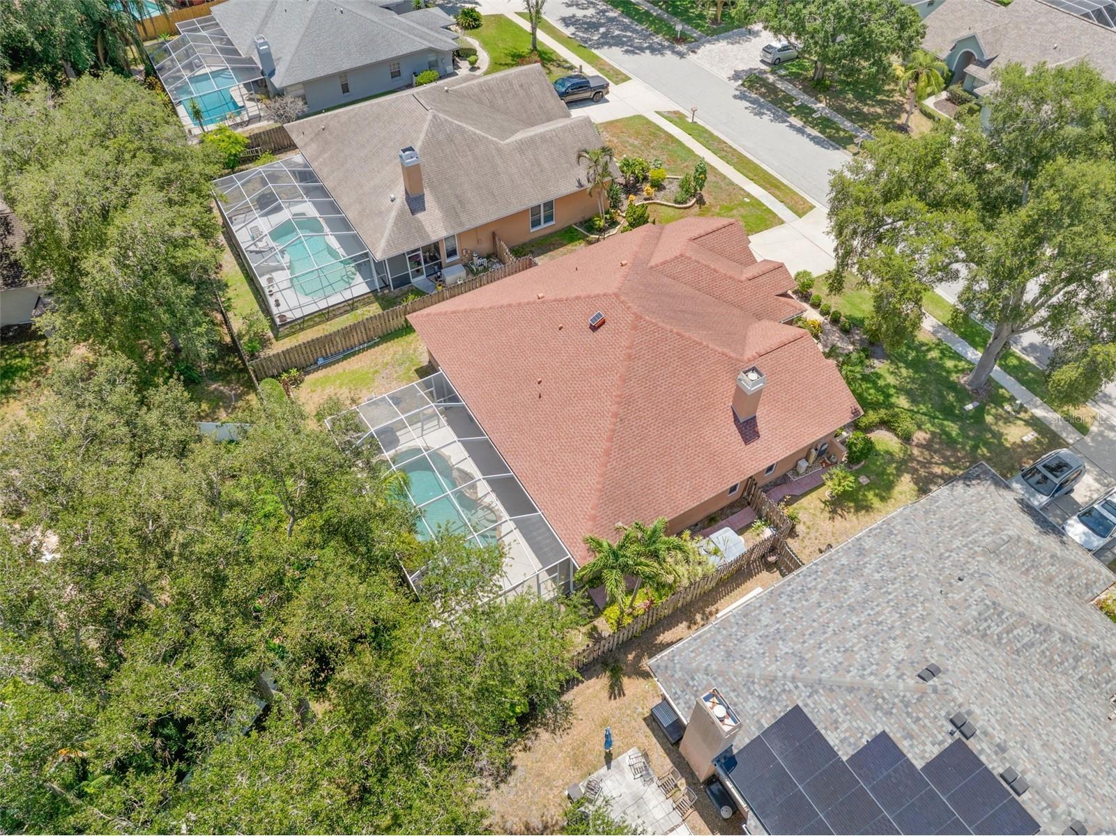 895 Whippoorwill Drive Palm Harbor FL 34683 TB8519078 image49