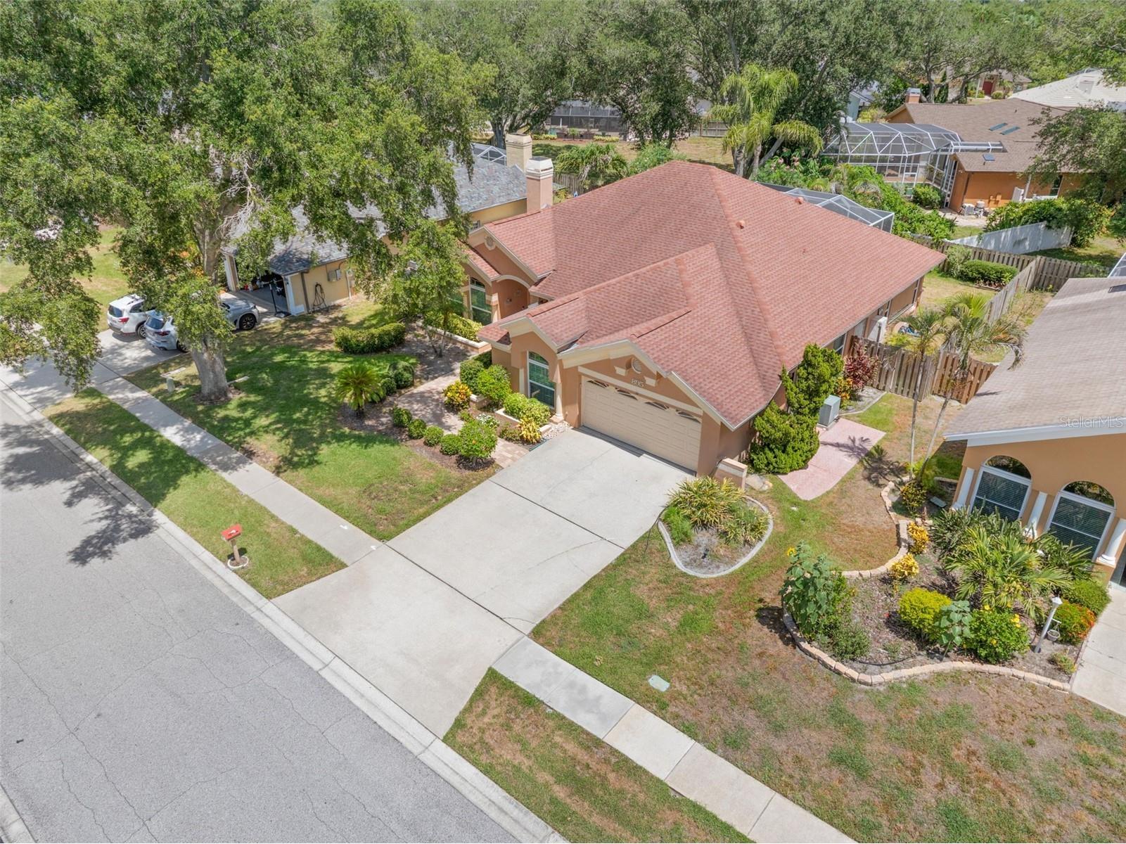 895 Whippoorwill Drive Palm Harbor FL 34683 TB8519078 image50