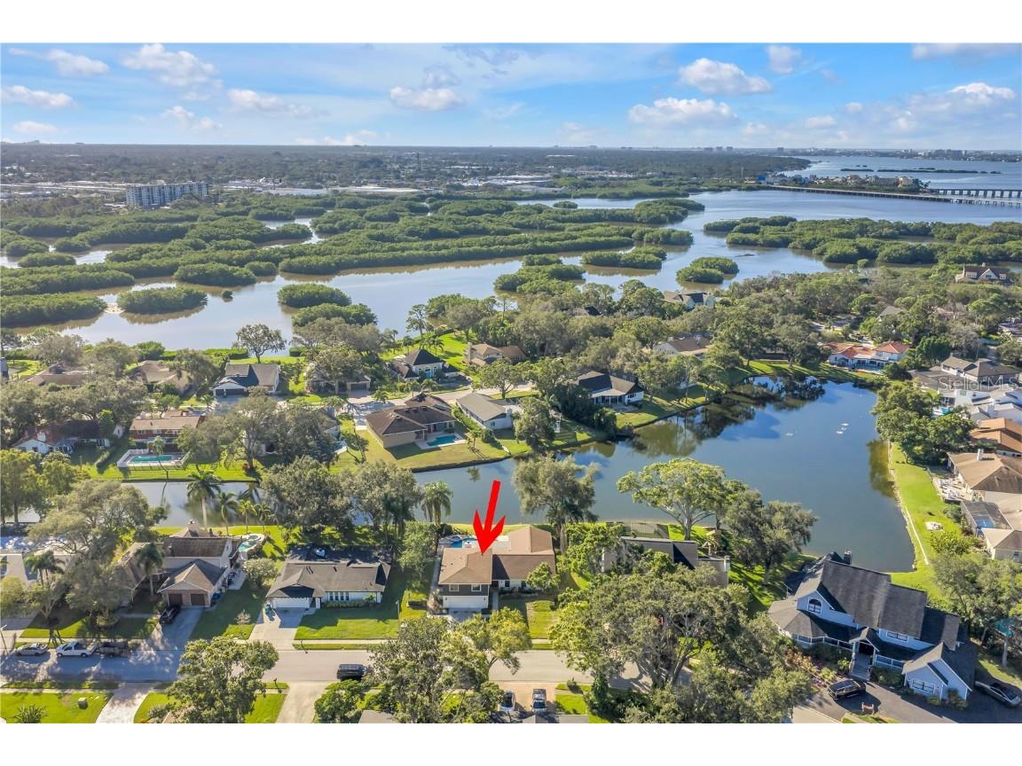 8950 Baywood Park Drive Seminole FL 33777 - BAYWOOD PARK LAKE TB8422899 image3