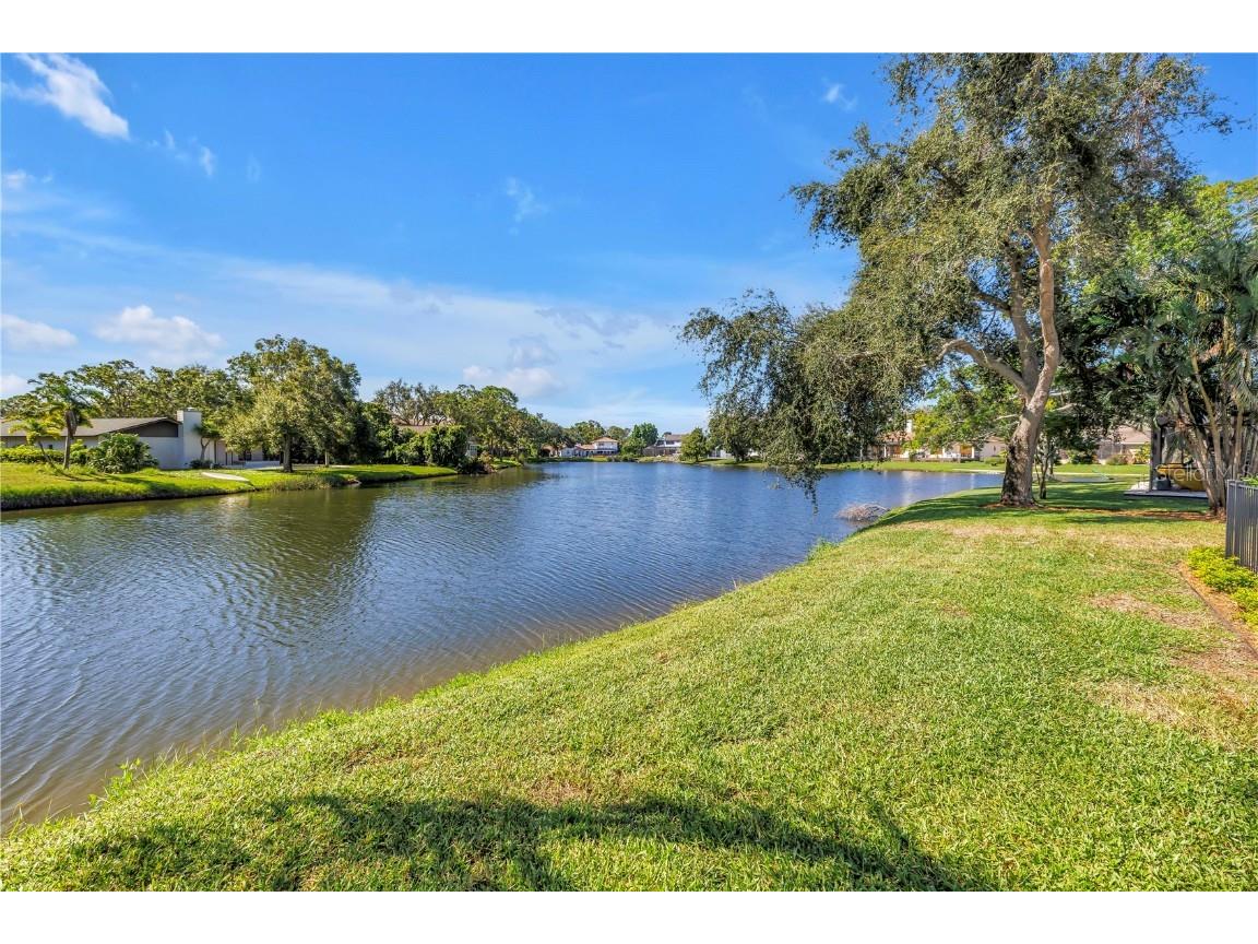 8950 Baywood Park Drive Seminole FL 33777 - BAYWOOD PARK LAKE TB8422899 image40