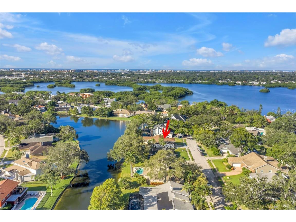8950 Baywood Park Drive Seminole FL 33777 - BAYWOOD PARK LAKE TB8422899 image46