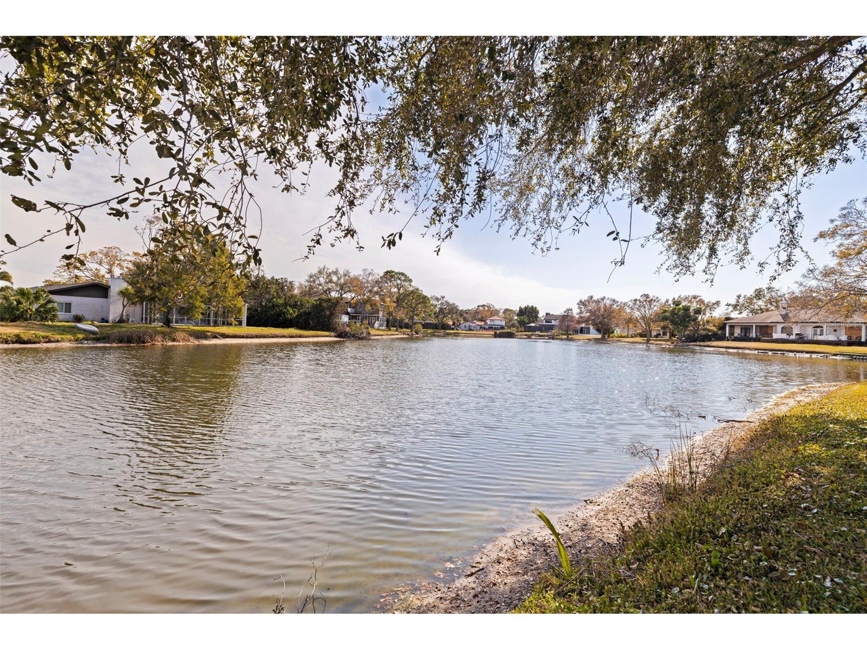 8950 Baywood Park Drive Seminole FL 33777 - BAYWOOD PARK LAKE TB8475172 image52