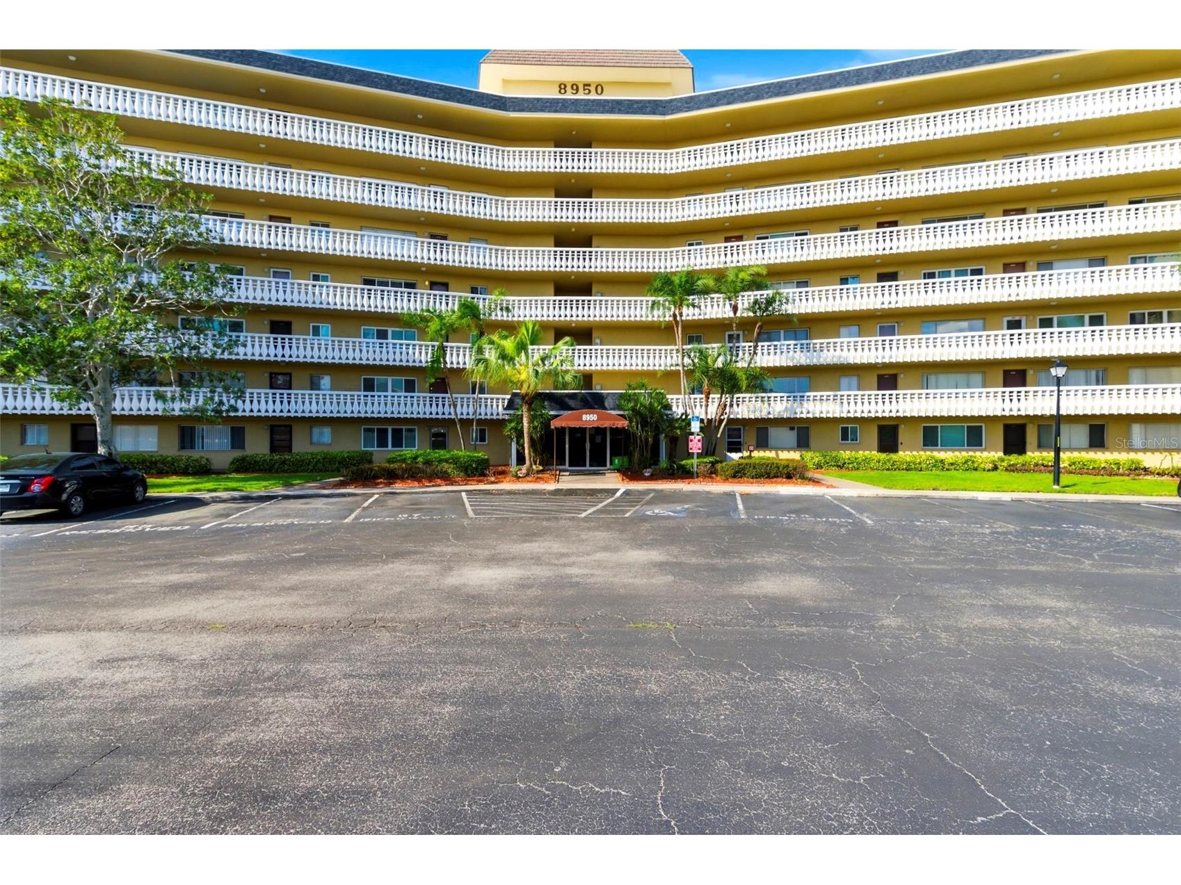 8950 Park Boulevard #201 Seminole FL 33777 TB8500641 image5