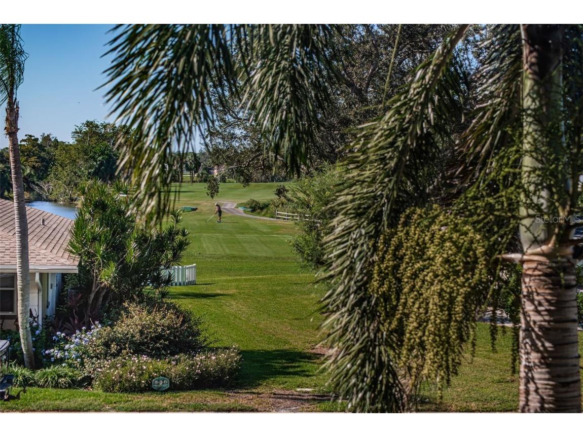 8950 Park Boulevard #206 Seminole FL 33777 TB8439127 image5