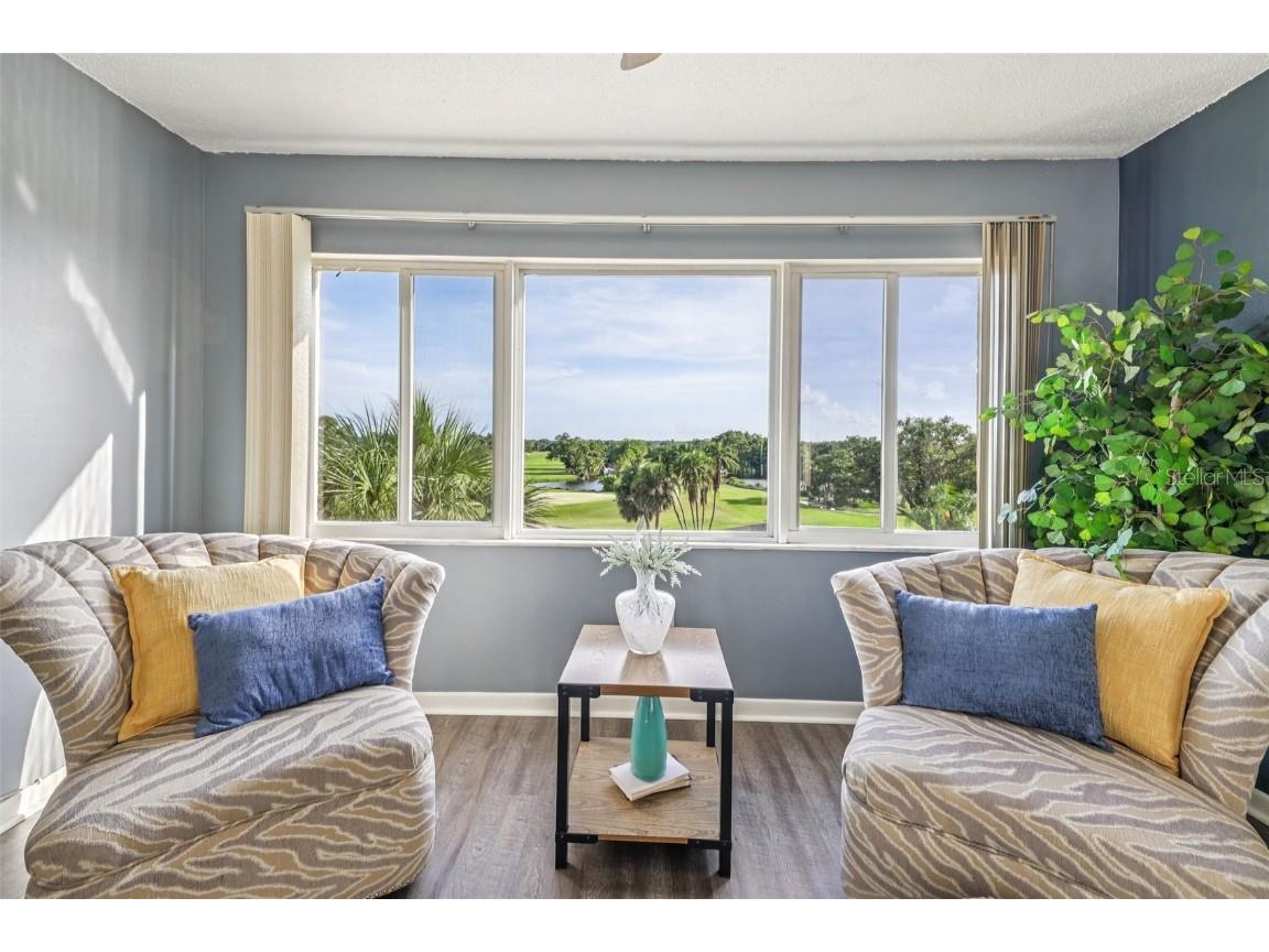 8950 Park Boulevard #405 Seminole FL 33777 TB8406749 image8