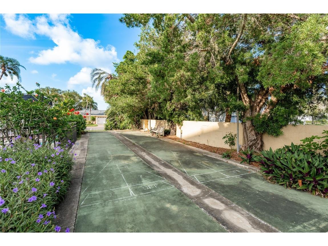 8950 Park Boulevard #508 Seminole FL 33777 TB8408752 image20