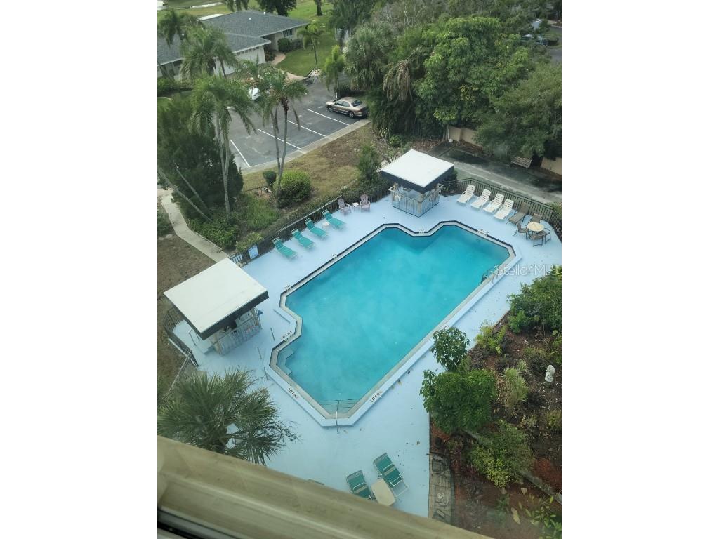 8950 Park Boulevard #708 Seminole FL 33777 O6371720 image13