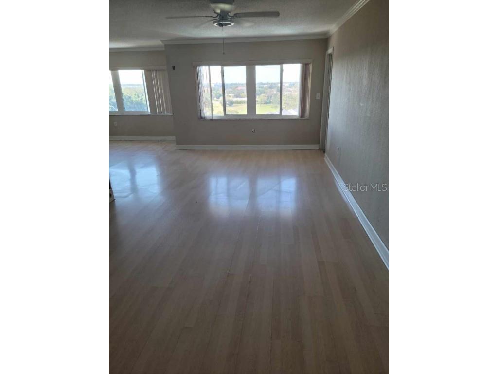 8950 Park Boulevard #708 Seminole FL 33777 O6371720 image6