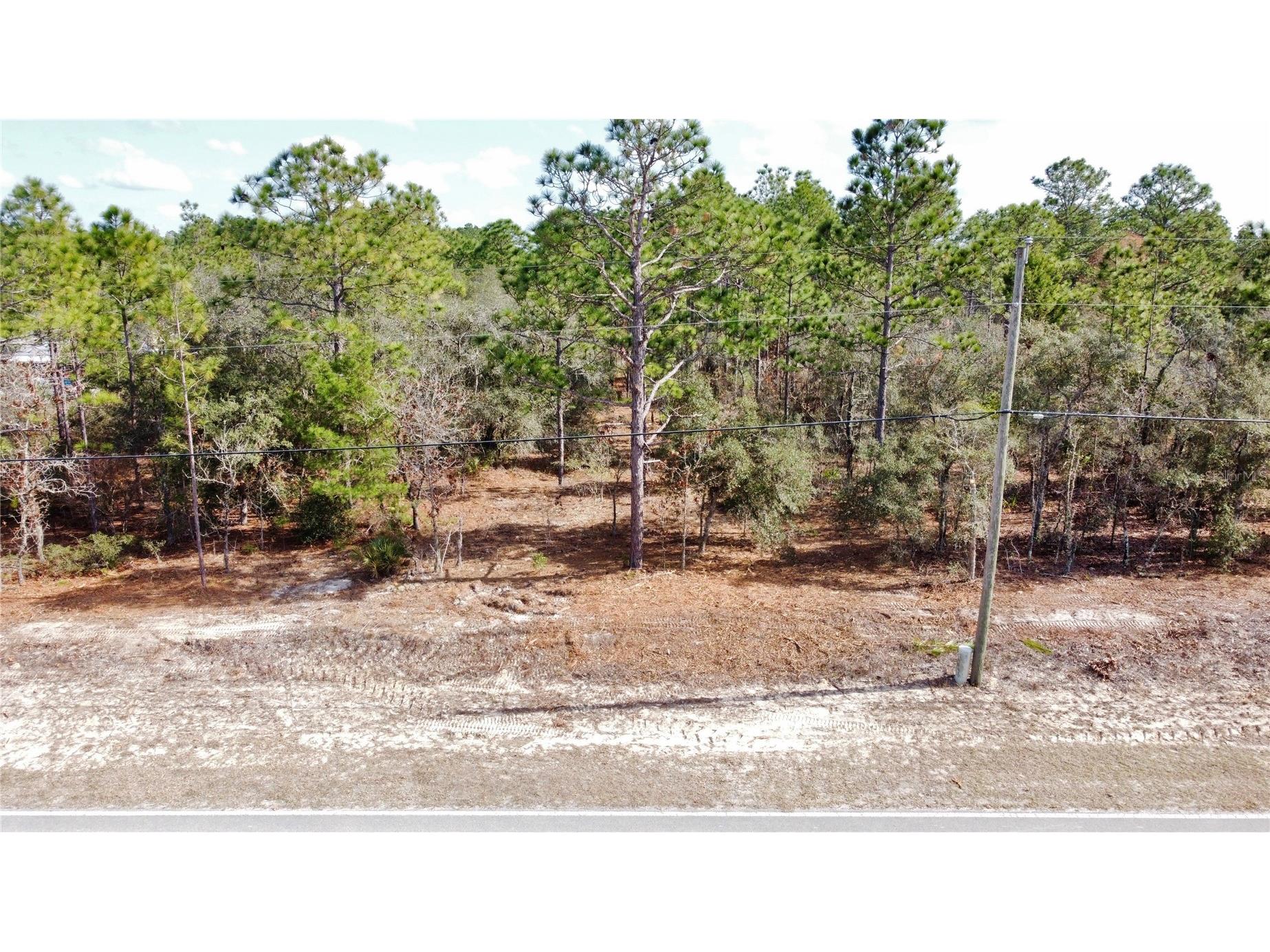 8951 N Citrus Springs Boulevard Citrus Springs FL 34433 OM717660 image1