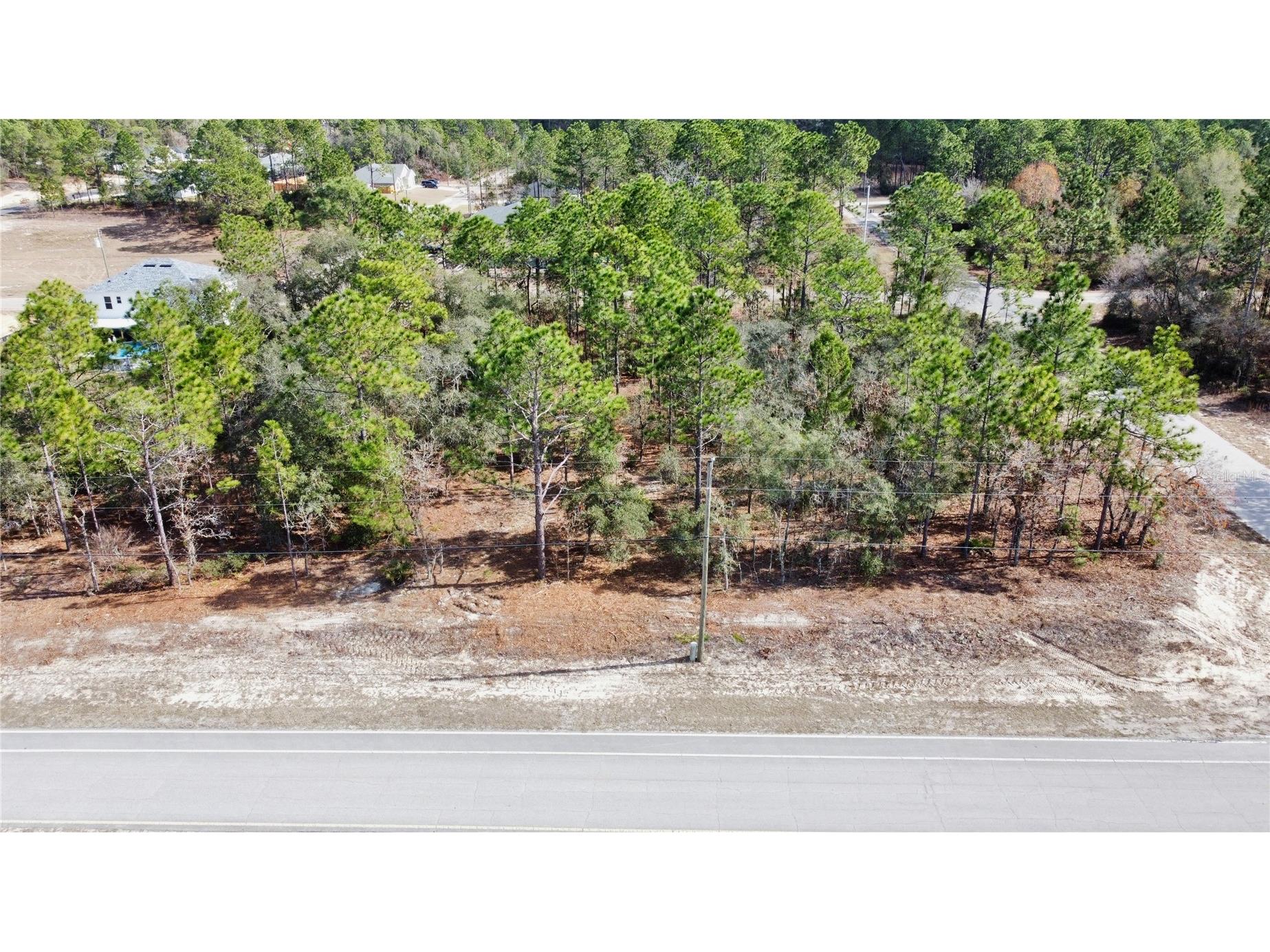 8951 N Citrus Springs Boulevard Citrus Springs FL 34433 OM717660 image10