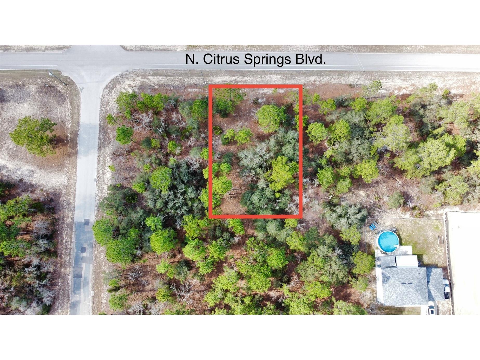 8951 N Citrus Springs Boulevard Citrus Springs FL 34433 OM717660 image7