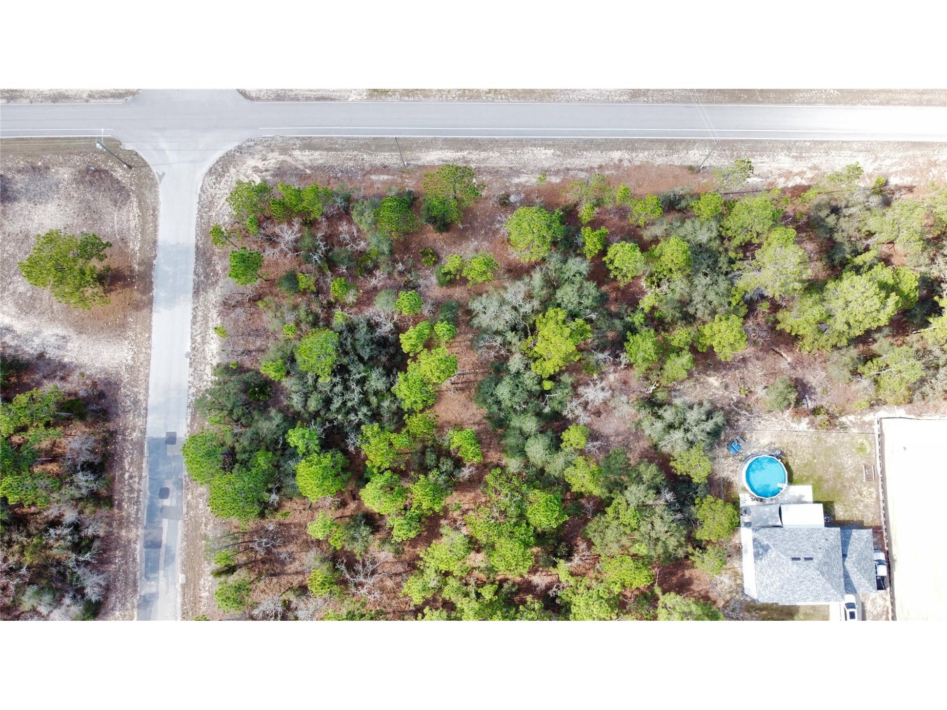 8951 N Citrus Springs Boulevard Citrus Springs FL 34433 OM717660 image8