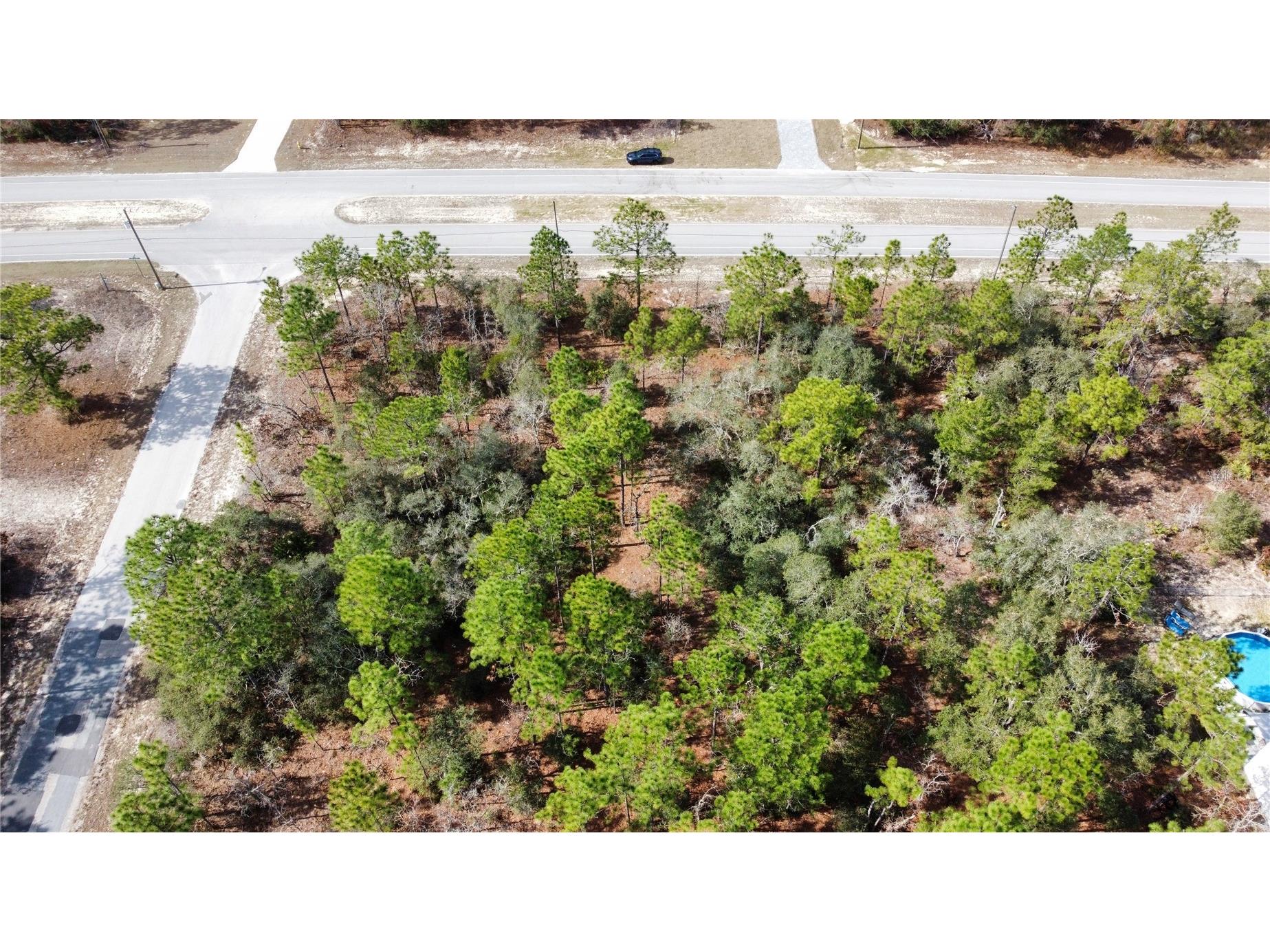 8951 N Citrus Springs Boulevard Citrus Springs FL 34433 OM717660 image9