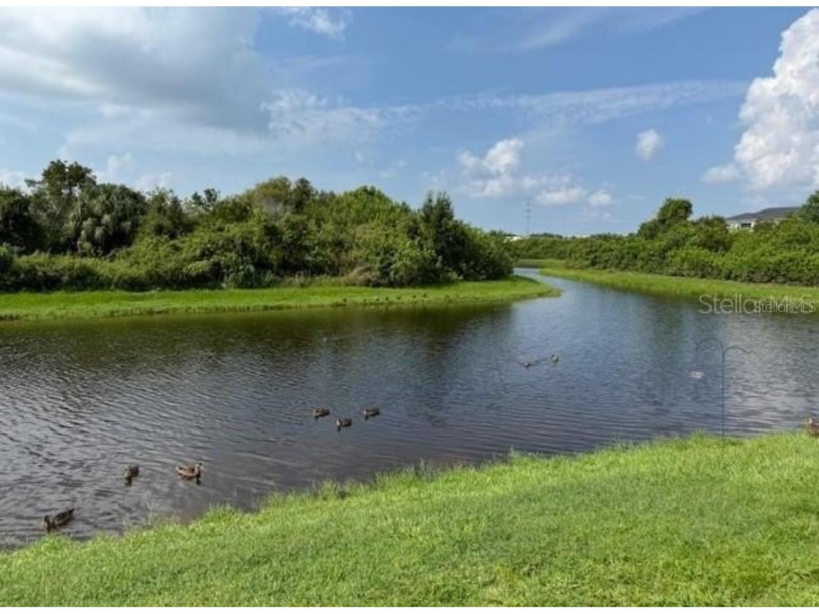 8951 Turnstone Haven Place Tampa FL 33619 TB8463886 image12