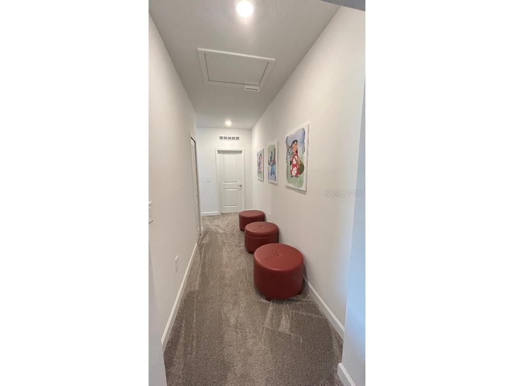 8952 Takeaway Way Davenport FL 33896 O6346148 image40