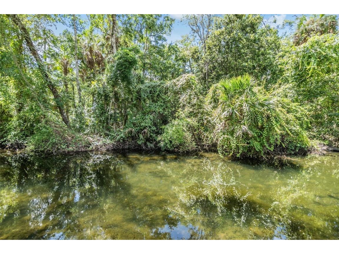8952 W White Dogwood Drive Homosassa FL 34448 - CANAL FROM HALLS RIVER T3506302 image35