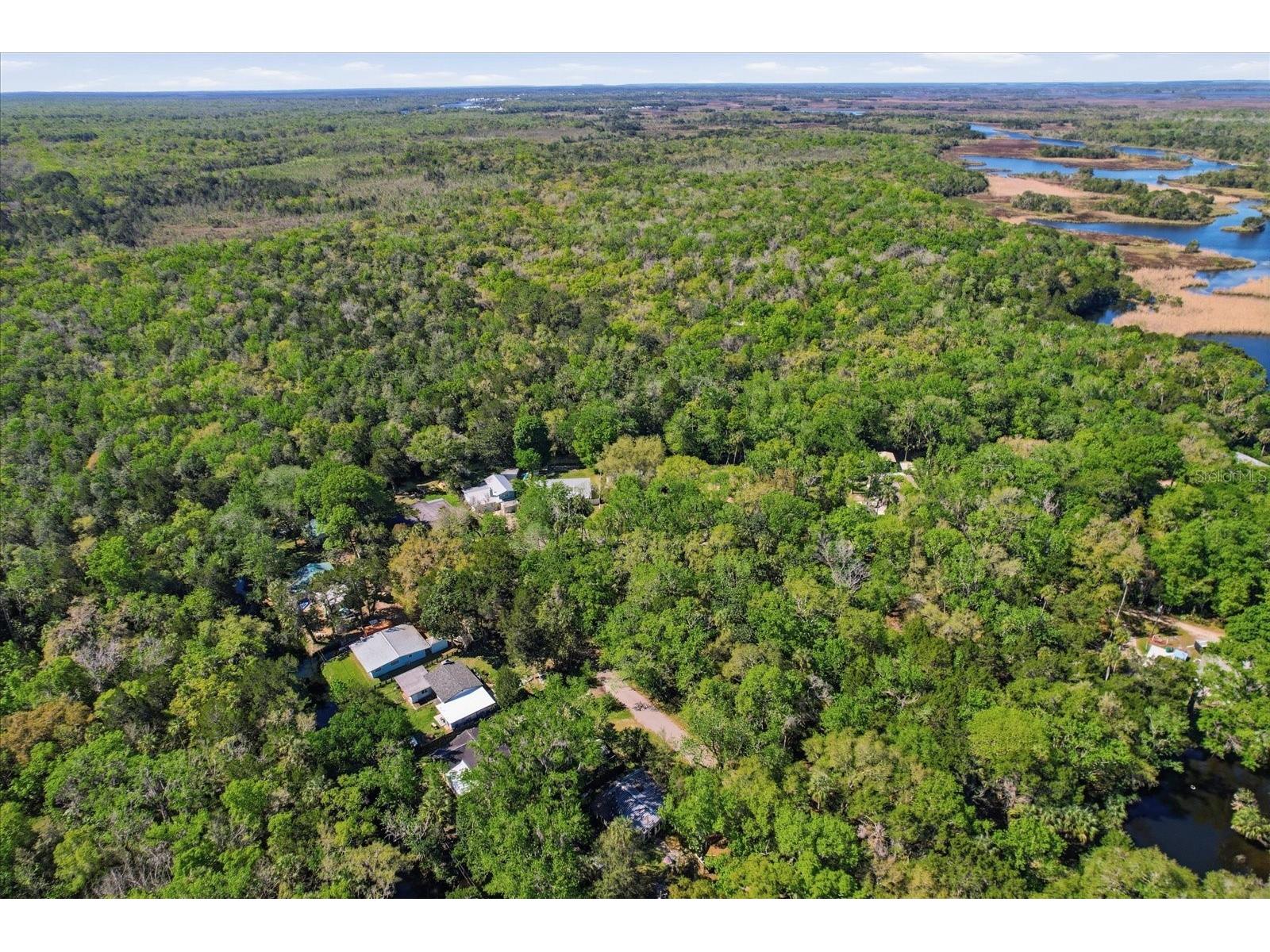 8952 W White Dogwood Drive Homosassa FL 34448 TB8490041 image42