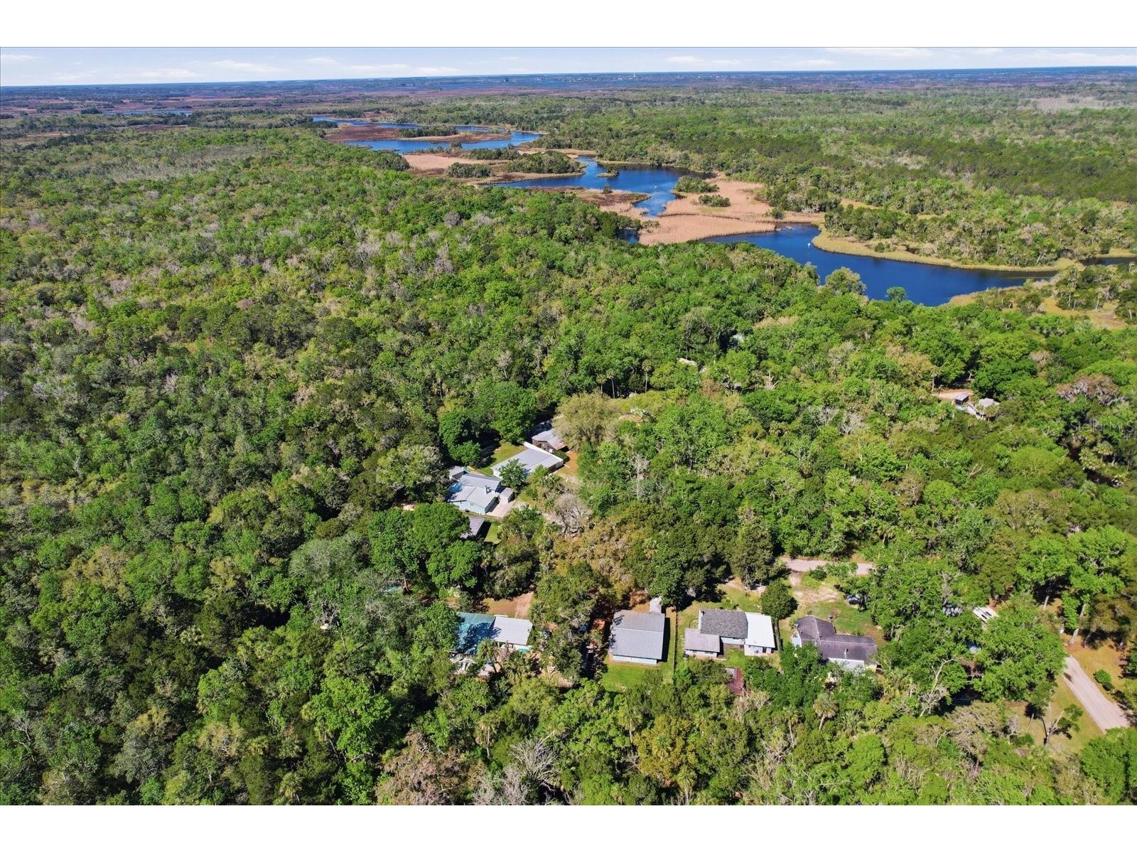 8952 W White Dogwood Drive Homosassa FL 34448 TB8490041 image43