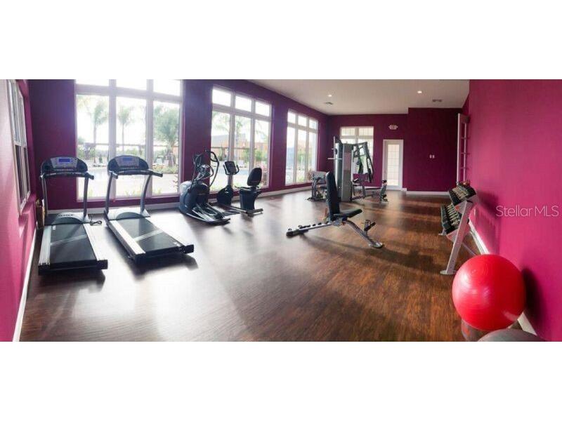 8953 Shine Drive Kissimmee FL 34747 O6260780 image7