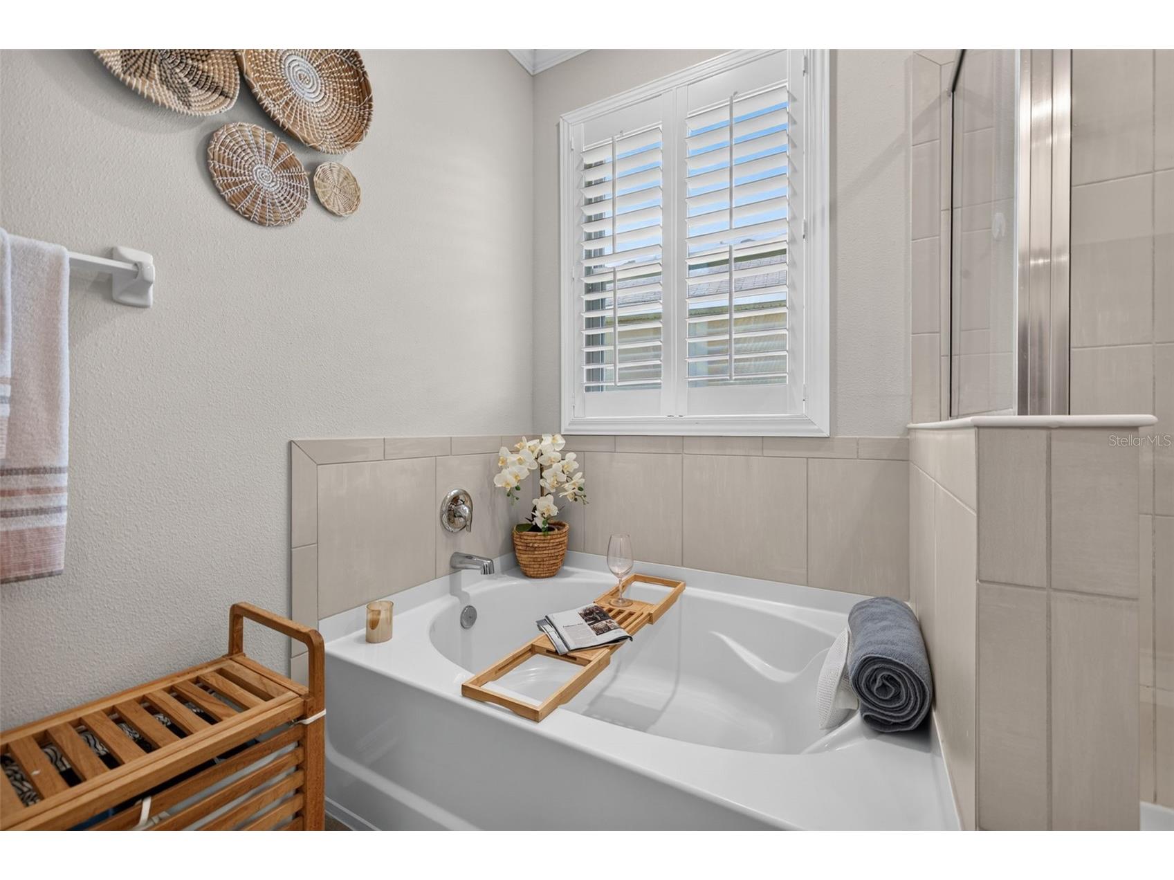 8955 Bower Bass Circle Wesley Chapel FL 33545 TB8527232 image22