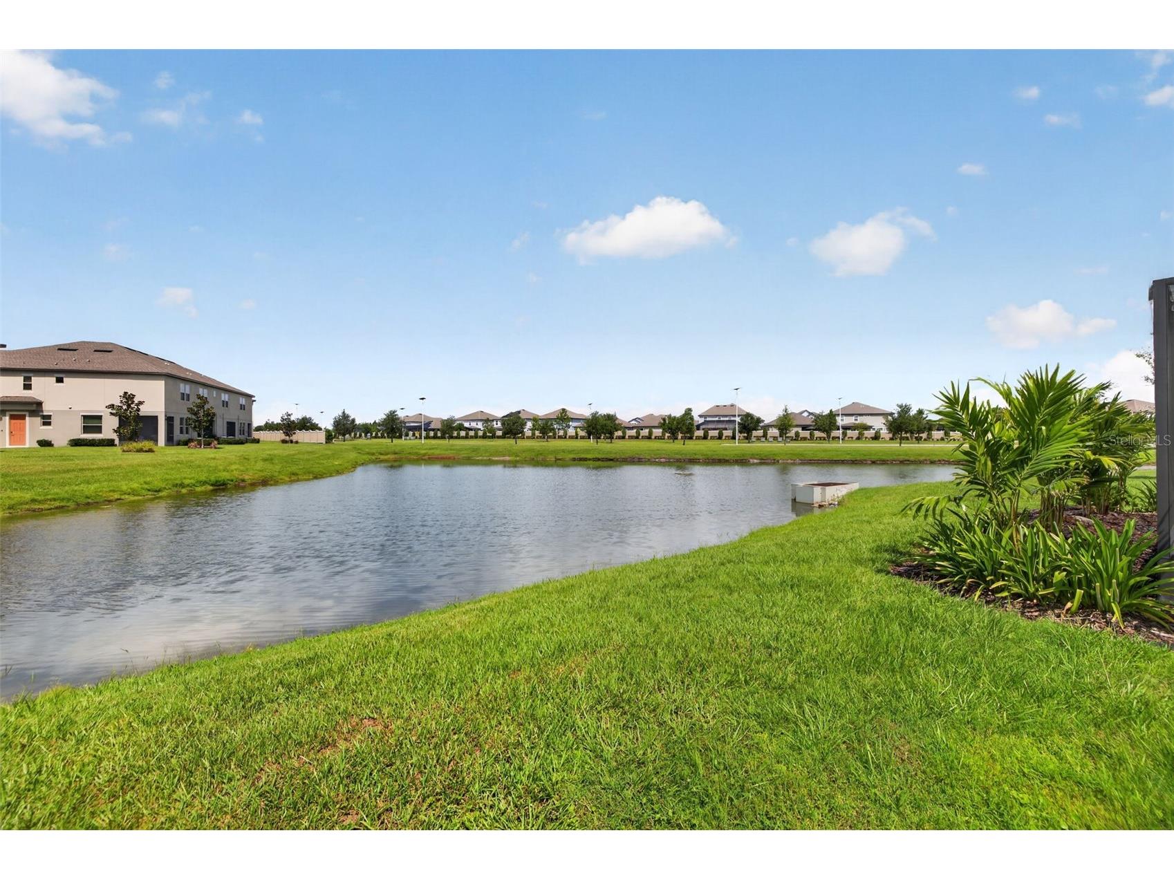 8955 Bower Bass Circle Wesley Chapel FL 33545 TB8527232 image35