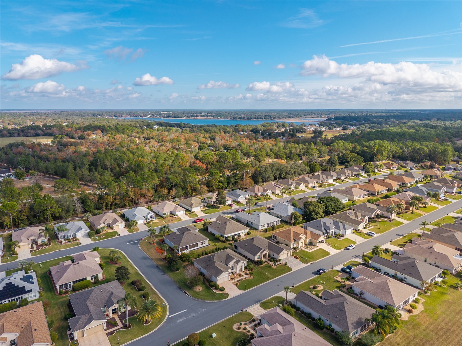 8955 SE 118th Lane Summerfield FL 34491 OM715174 image58