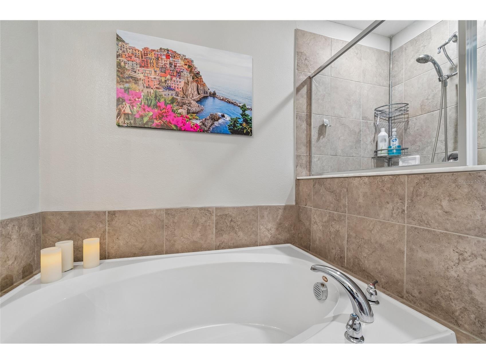 8955 Shadyside Lane Land O Lakes FL 34637 TB8493224 image22