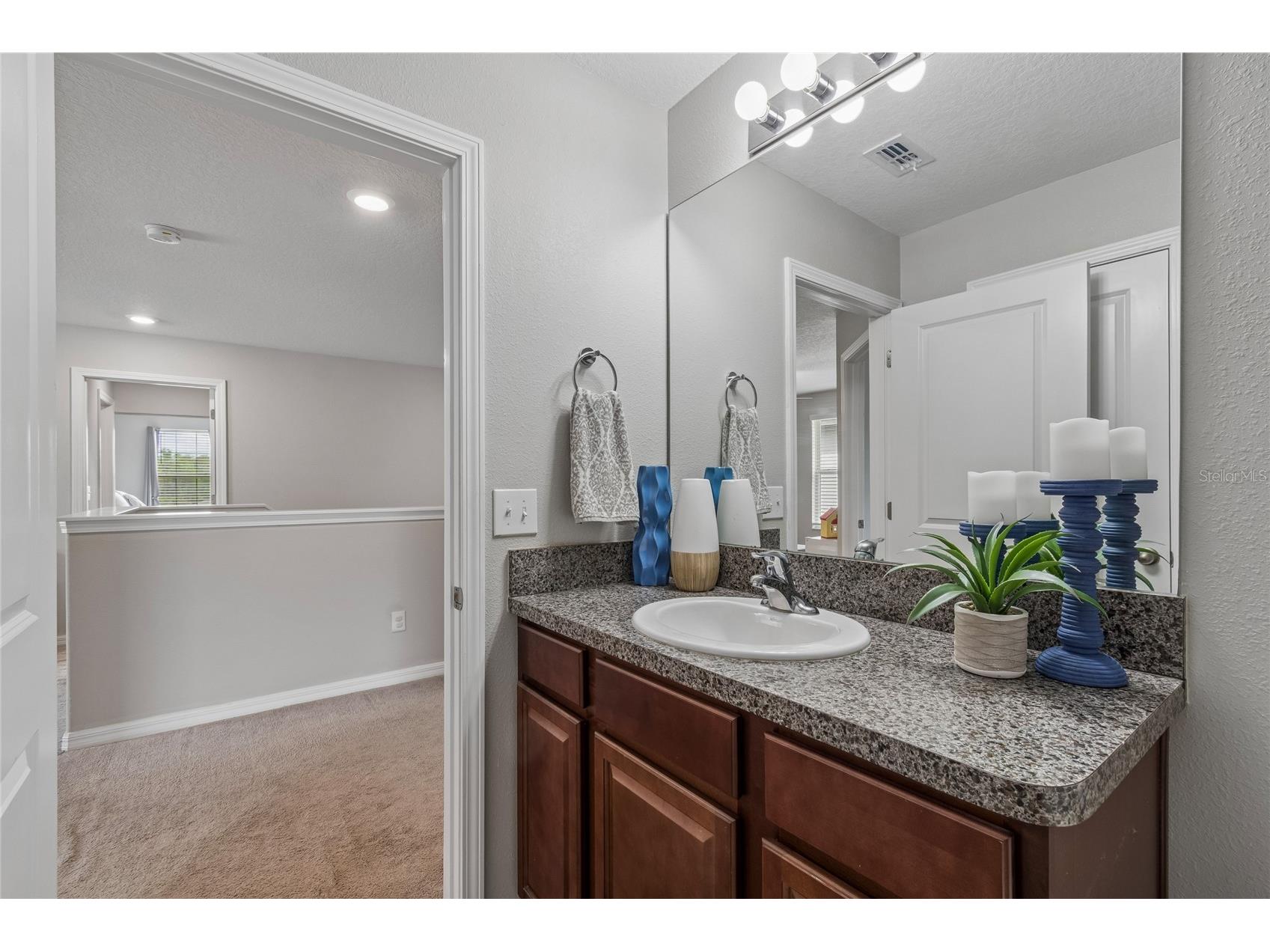 8955 Shadyside Lane Land O Lakes FL 34637 TB8493224 image28