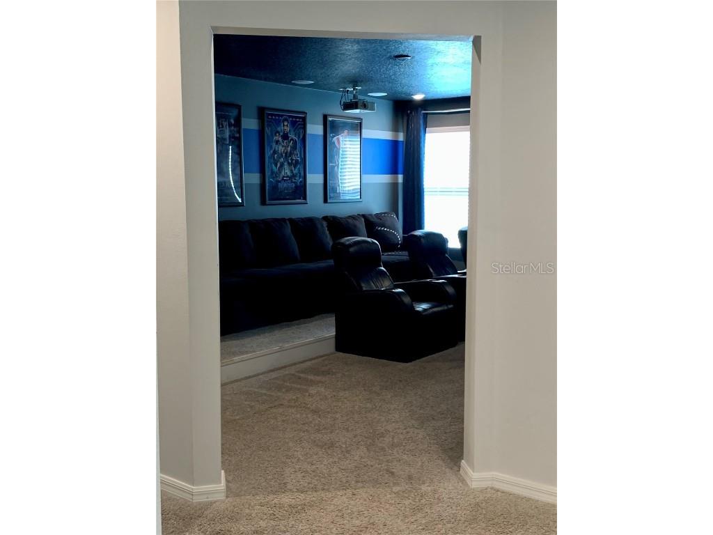 8956 Hilton Ridge Avenue Kissimmee FL 34747 O6258707 image34