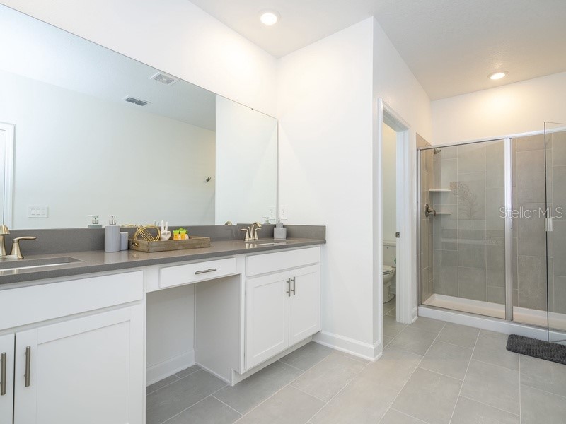 8956 Takeaway Way Davenport FL 33896 O6360747 image50