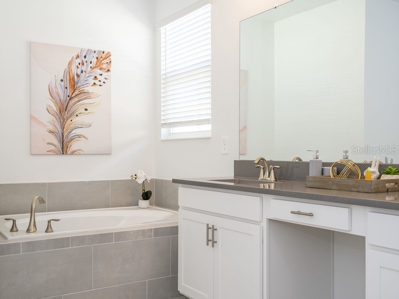 8956 Takeaway Way Davenport FL 33896 O6360747 image51