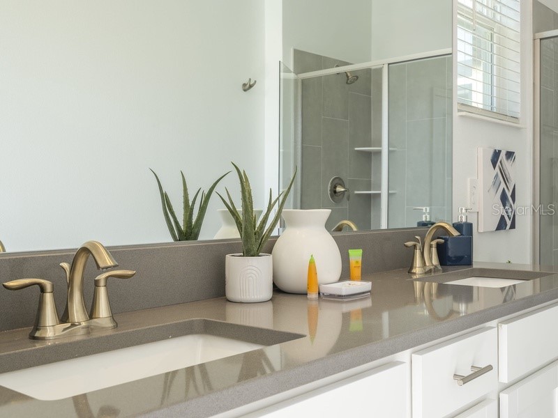 8956 Takeaway Way Davenport FL 33896 O6360747 image52