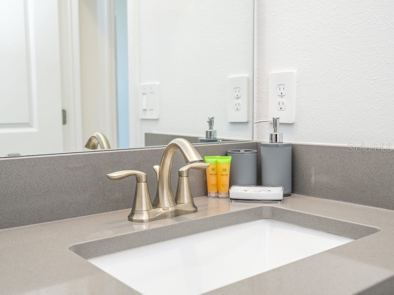 8956 Takeaway Way Davenport FL 33896 O6360747 image54