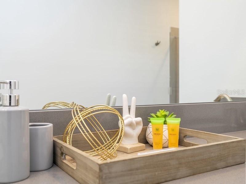 8956 Takeaway Way Davenport FL 33896 O6360747 image58