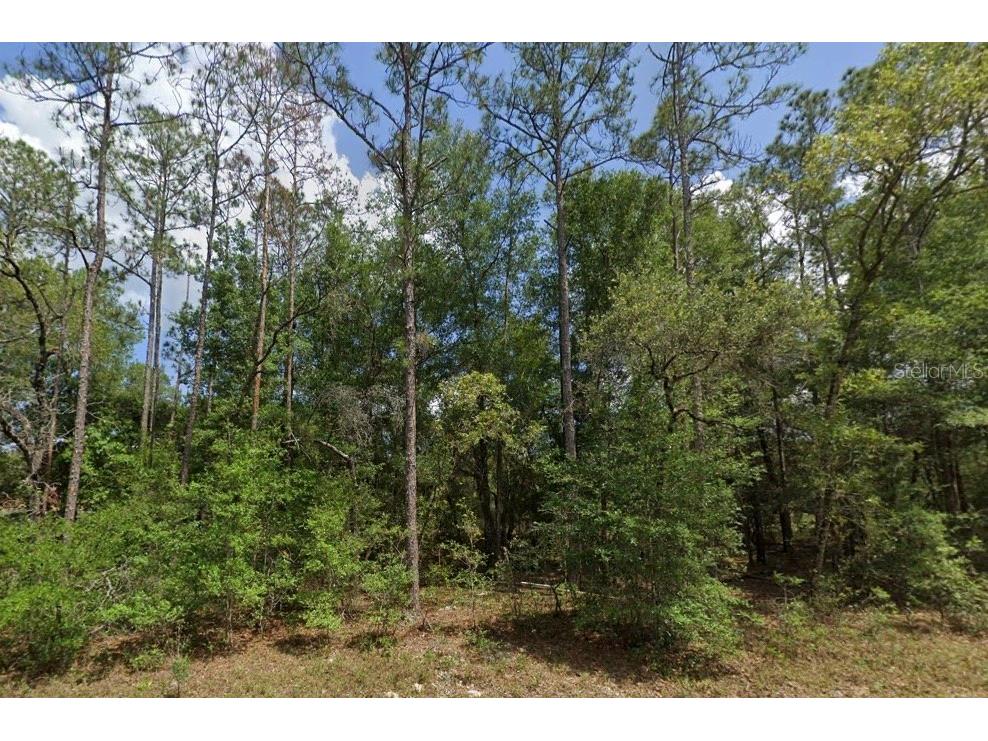 8957 N Bengal Way Citrus Springs FL 34434 C7484977 image1