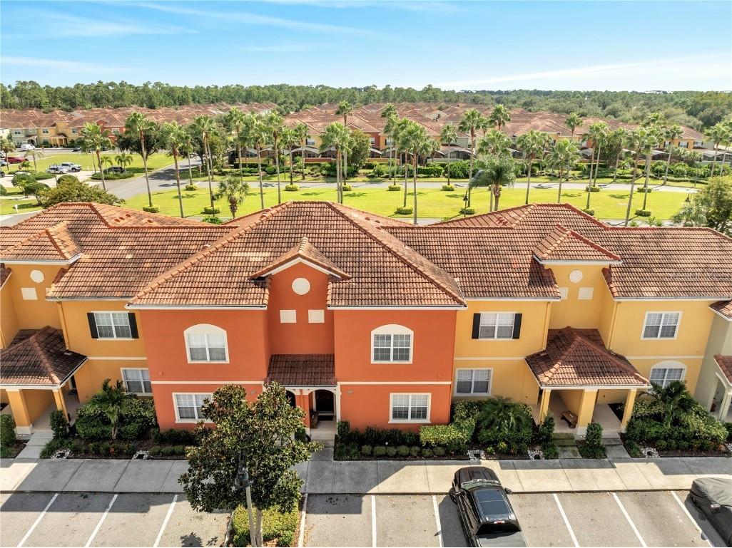 8958 Candy Palm Road Kissimmee FL 34747 S5137164 image3