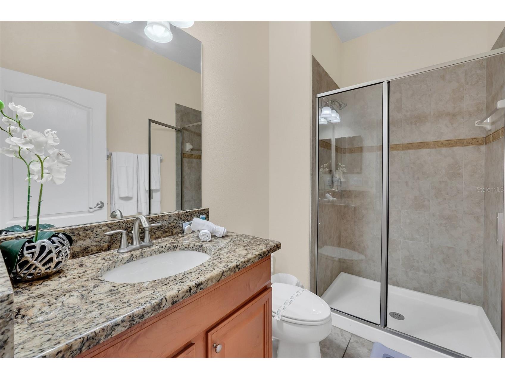 8958 Cat Palm Road Kissimmee FL 34747 O6401093 image23