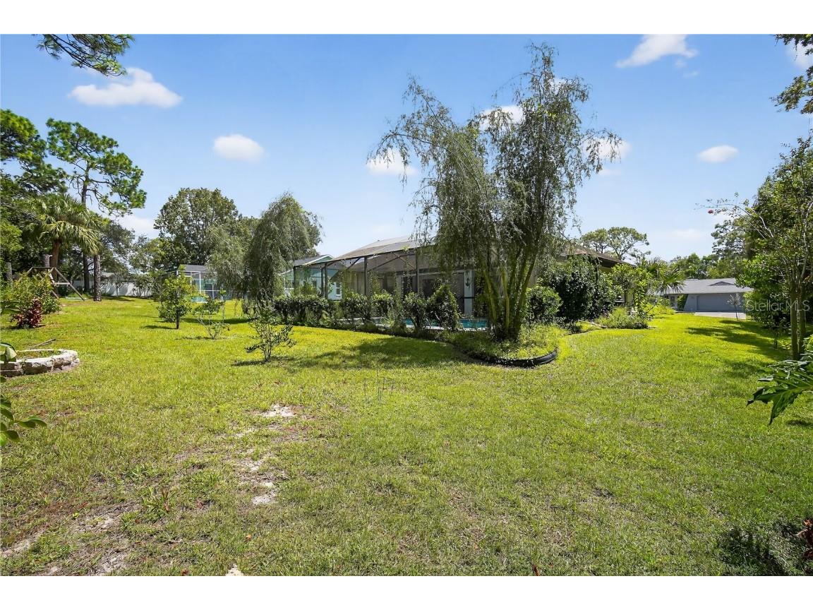 8959 Hernando Way Weeki Wachee FL 34613 TB8428228 image27