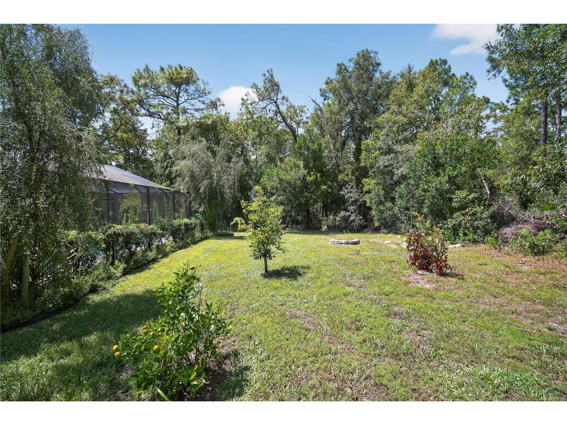 8959 Hernando Way Weeki Wachee FL 34613 TB8428228 image30