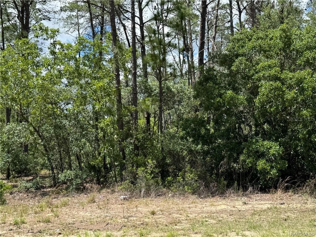 8959 N Farrington Drive Citrus Springs FL 34433 TB8447092 image1