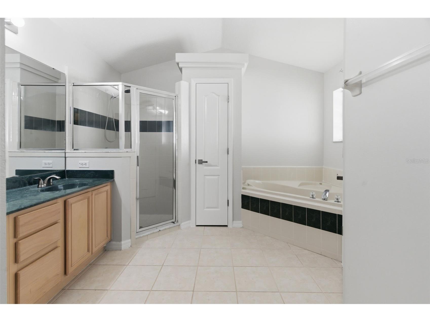 896 Princeton Drive Clermont FL 34711 O6412071 image16